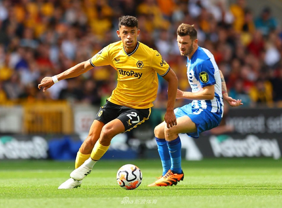 原因在于 原因在于