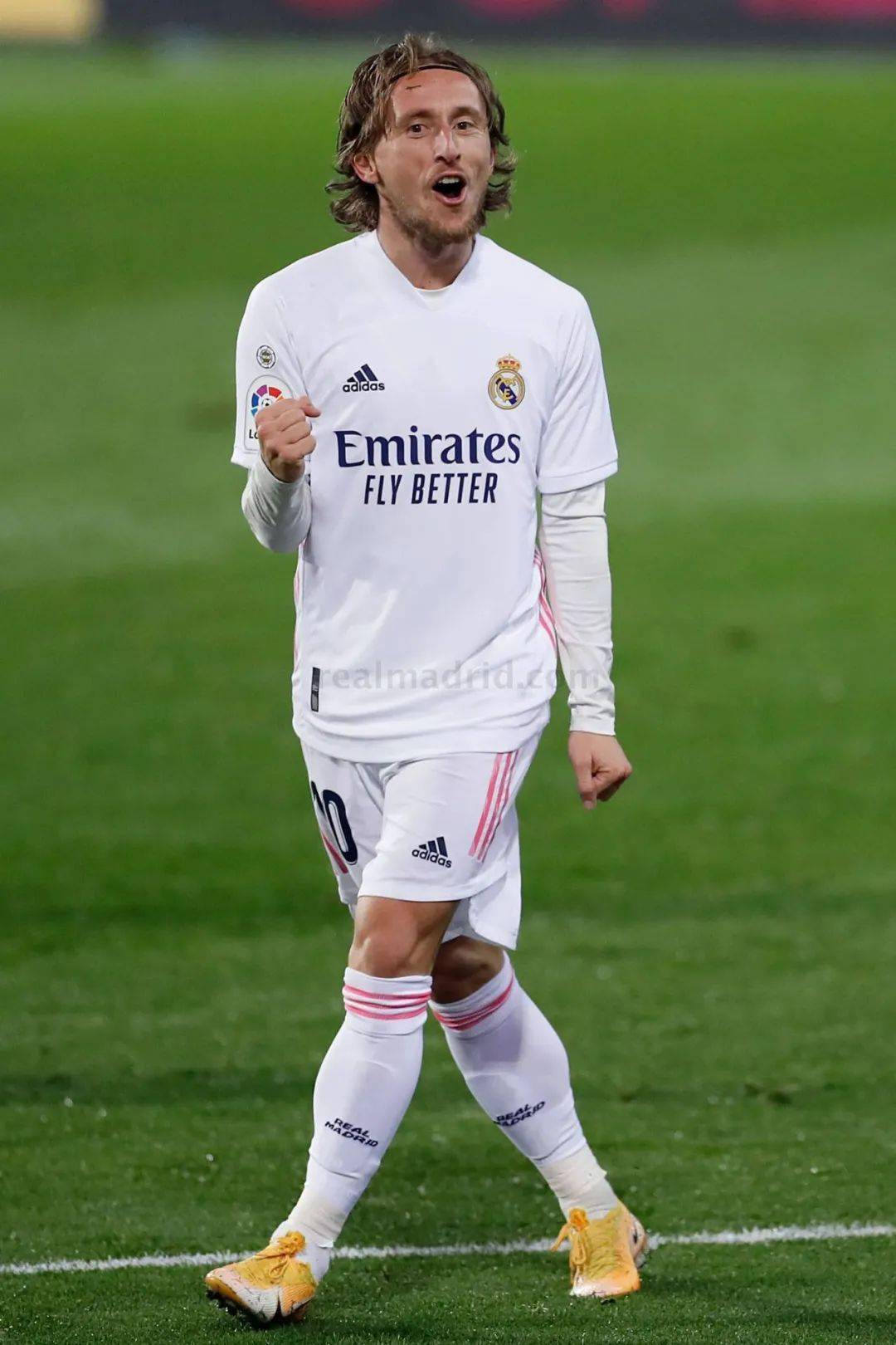 这也体现了 这也体现了